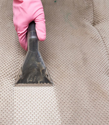 Why Carpet Cleaning Matters in Baltimore