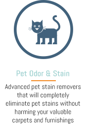 Pet Stain & Odor Removal Berea Area, Baltimore